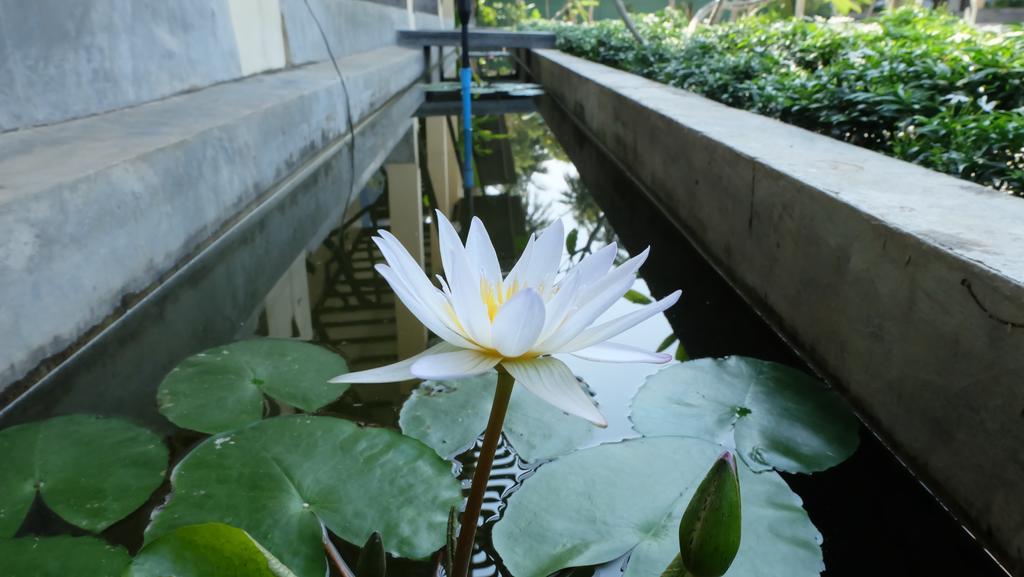 Lullaby Boutique Resort Thap Sakae Exterior photo